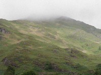 tp8060226.jpg (43830 bytes)