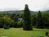 tp8090288.jpg (48866 bytes)