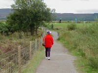 tp8100302.jpg (55079 bytes)