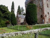 Look at the fuzzy stuff growing on the fence (lichen?)