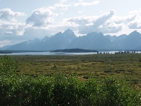 mid007.jpg (419095 bytes)