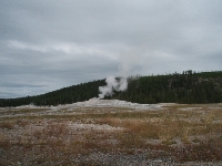 mid016.jpg (373534 bytes)