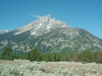 mid025.jpg (444551 bytes)